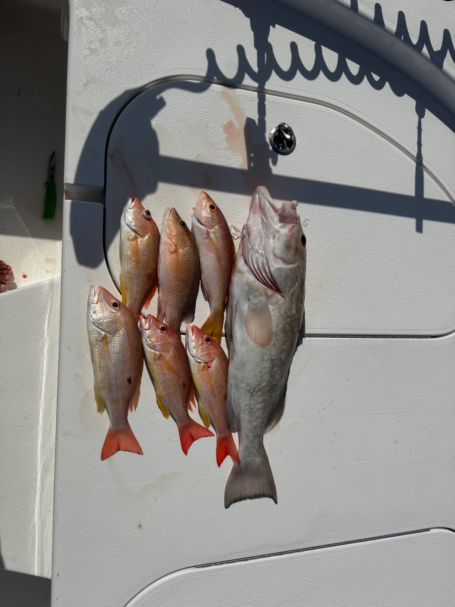 Linesinmarco charter on Marco Island (photo 7)