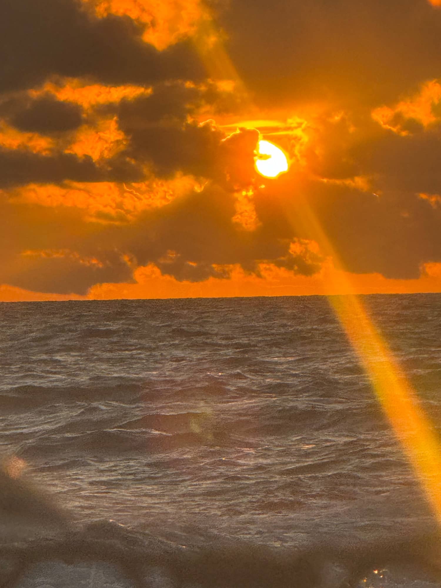 The sunset escape, sunset cruise on Marco Island with Linesinmarco